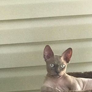 Meet your Posher, Karen